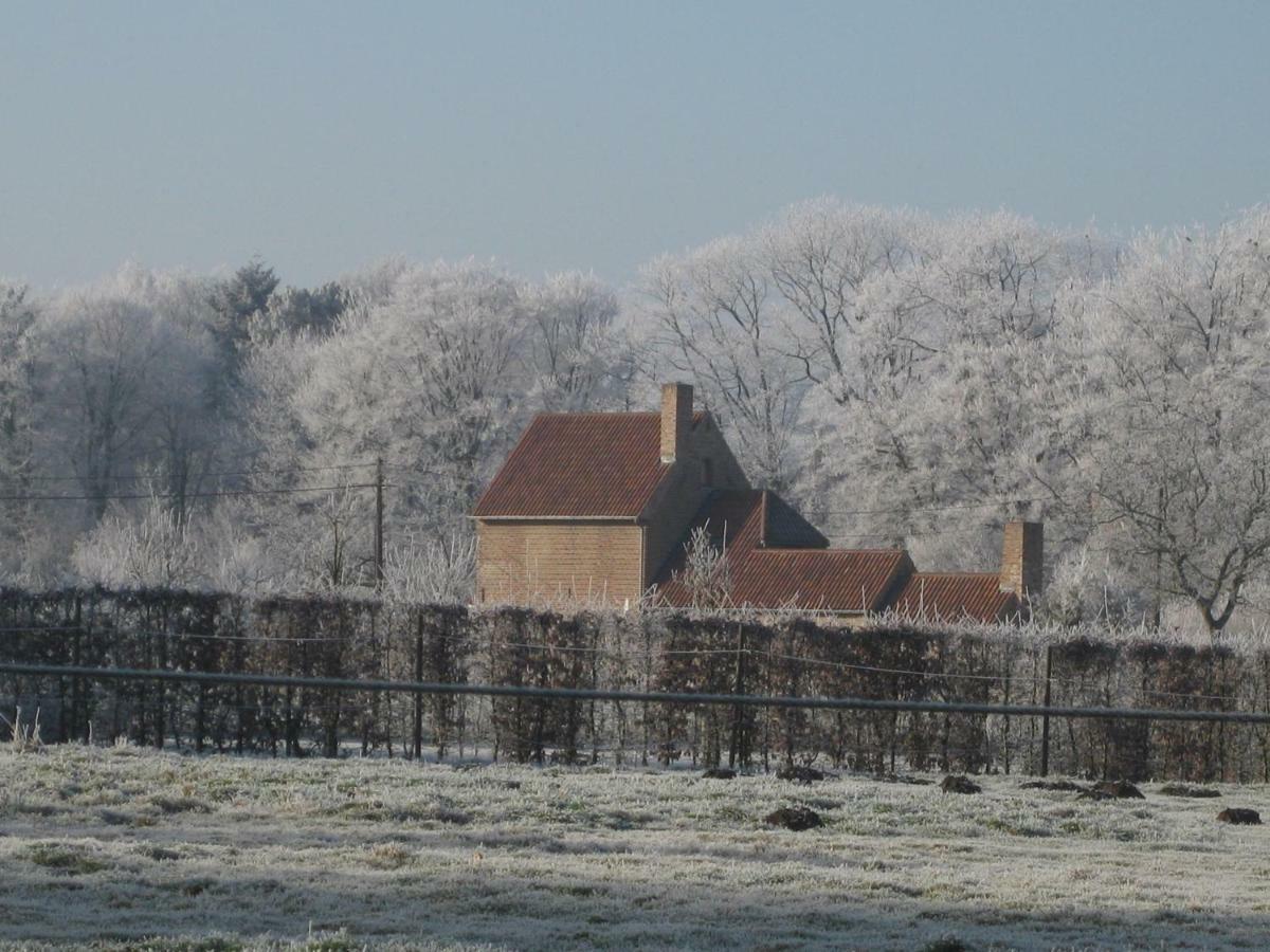 Hof Ter Sysen Villa Loppem Buitenkant foto